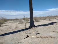 Terreno en venta en Agrícola la Popular, Gómez Palacio — foto 3 de 10