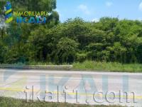 Terreno en venta en Ceiba Rica, Tuxpan — foto 3 de 9