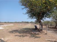 Finca-Rancho en venta en Rincón del Copite, Medellín de Bravo, Veracruz de Ignacio de la Llave