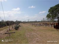 Finca-Rancho en venta en Rincón del Copite, Medellín de Bravo — foto 3 de 25