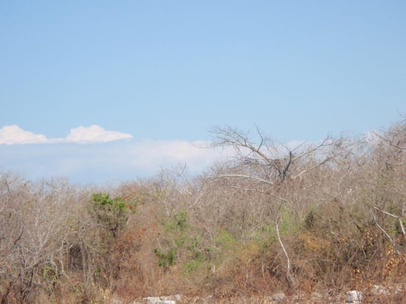 Terreno en venta en Champoton Centro, Champotón — foto 1 de 7