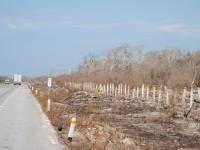 Terreno en venta en Champoton Centro, Champotón — foto 2 de 7