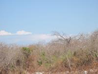Terreno en venta en Champoton Centro, Champotón — foto 3 de 7