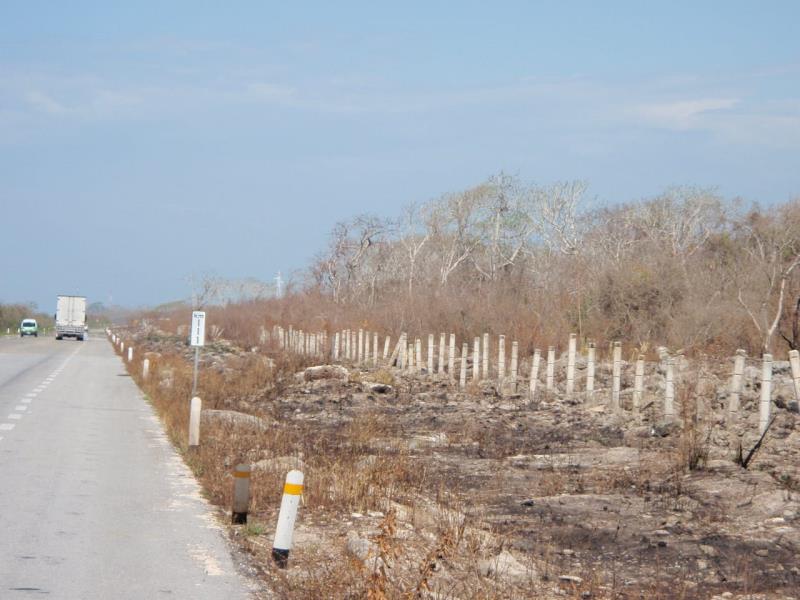 Terreno en venta en Champoton Centro, Champotón — foto 1 de 7