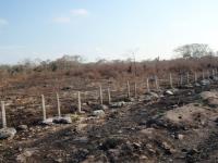 Terreno en venta en Champoton Centro, Champotón — foto 2 de 7