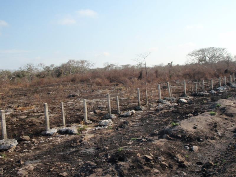Terreno en venta en Champoton Centro, Champotón — foto 1 de 7