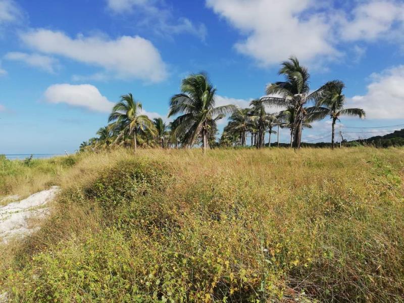 Terreno en venta en Champoton Centro, Champotón — foto 1 de 5