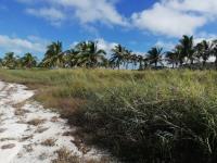 Terreno en venta en Champoton Centro, Champotón — foto 2 de 5
