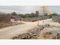 Terreno en renta en General Lázaro Cárdenas (El Colorado), El Marqués — foto 3 de 3