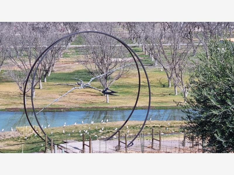 Terreno en Venta en Parras, Parras, Coahuila de Zaragoza Terreno en Venta en Parras, Parras, Coahuila de Zaragoza