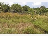 Terreno en venta en La Laguna y Monte del Castillo, Medellín de Bravo — foto 2 de 5