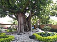 Casa en venta en San Miguel Acapantzingo, Cuernavaca — foto 2 de 17