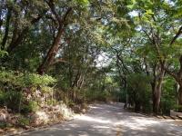 Terreno en venta en Bosques del Sur, Tuxtla Gutiérrez — foto 3 de 4