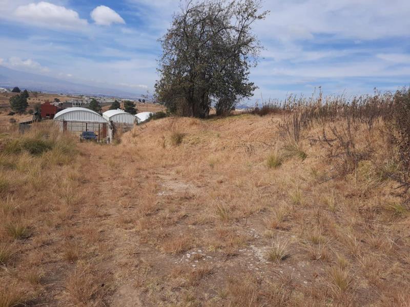Terreno en venta en Almoloya del Rio, Almoloya del Río — foto 1 de 7