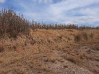 Terreno en venta en Almoloya del Rio, Almoloya del Río — foto 2 de 7