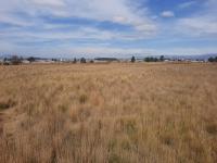 Terreno en venta en Almoloya del Rio, Almoloya del Río — foto 3 de 7