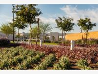 Terreno en venta en El Cardenchal, Torreón — foto 3 de 8