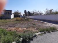 Terreno en venta en San Armando, Torreón — foto 3 de 4