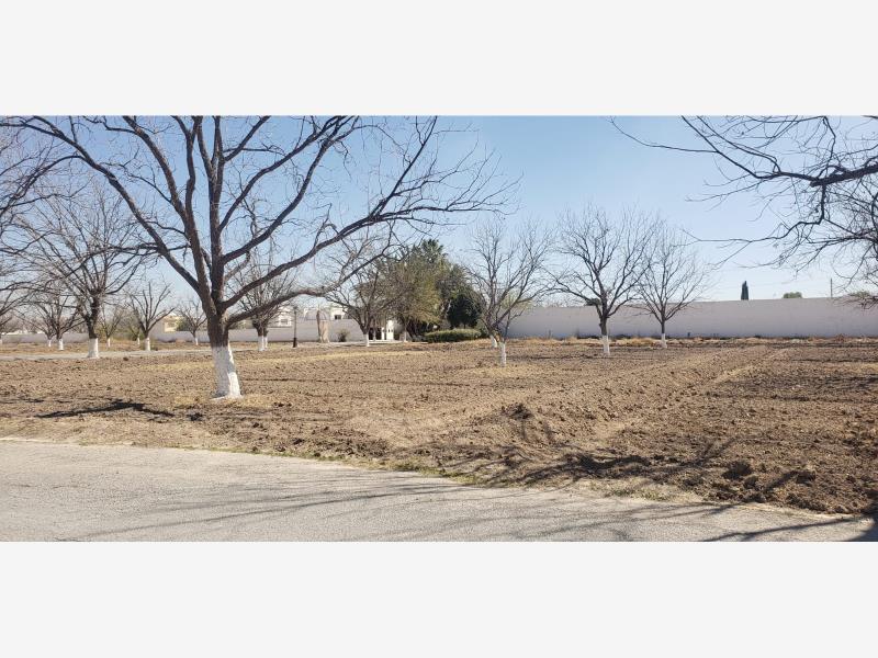 Terreno en Venta en San Armando, Torreón, Coahuila de Zaragoza