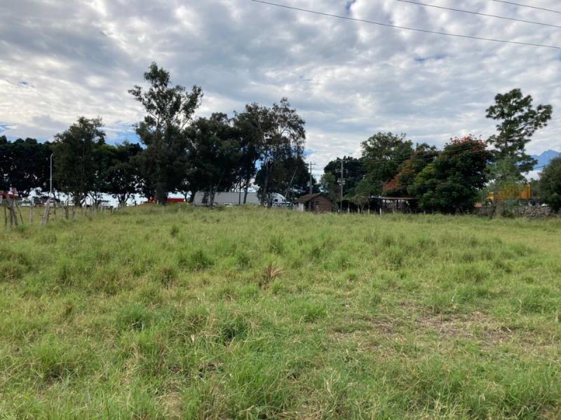 Terreno en renta en Ciudad Guzman Centro, Zapotlán El Grande — foto 1 de 23