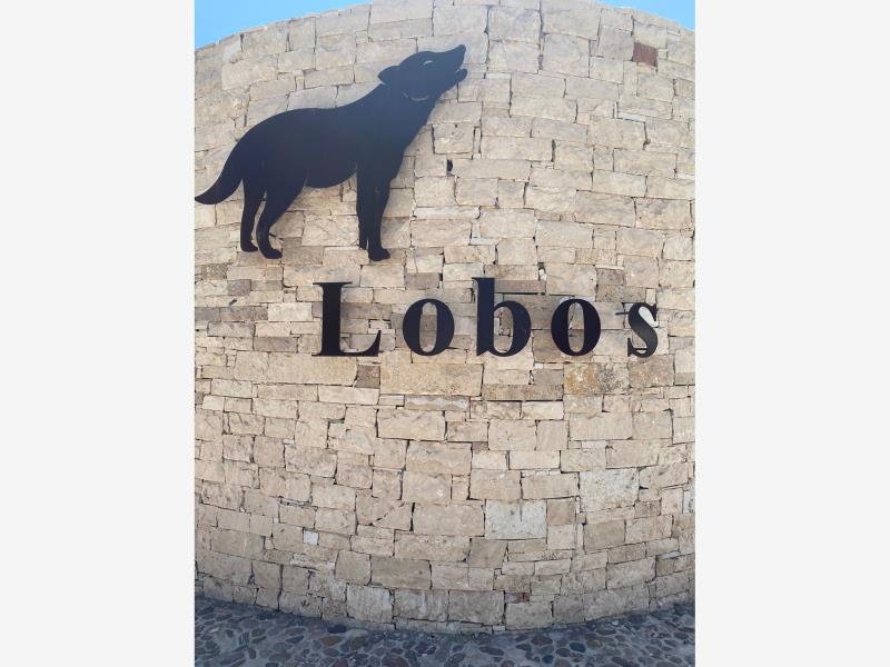 Terreno en venta en Las Villas, Torreón — foto 1 de 5