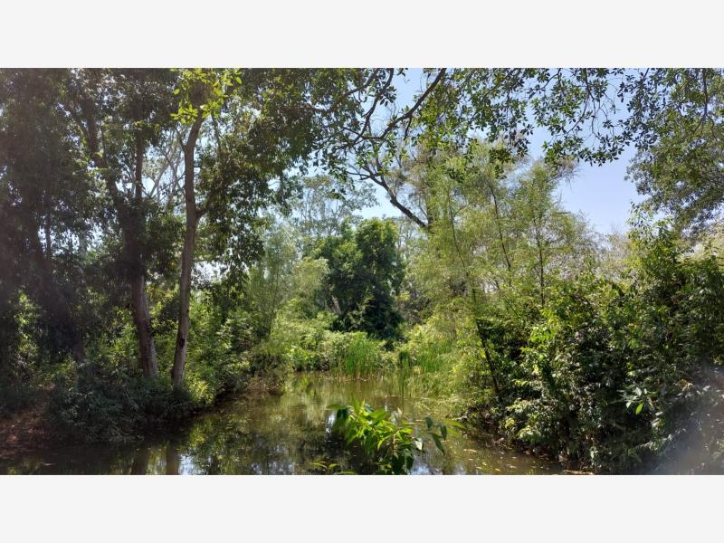 Terreno en venta en Coquimatlan, Coquimatlán — foto 1 de 3