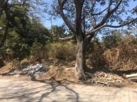 Terreno en venta en Lomas de Vista Hermosa, Cuernavaca — foto 2 de 3