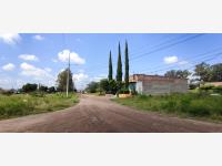 Terreno en venta en Alameda, Tlajomulco de Zúñiga — foto 3 de 13