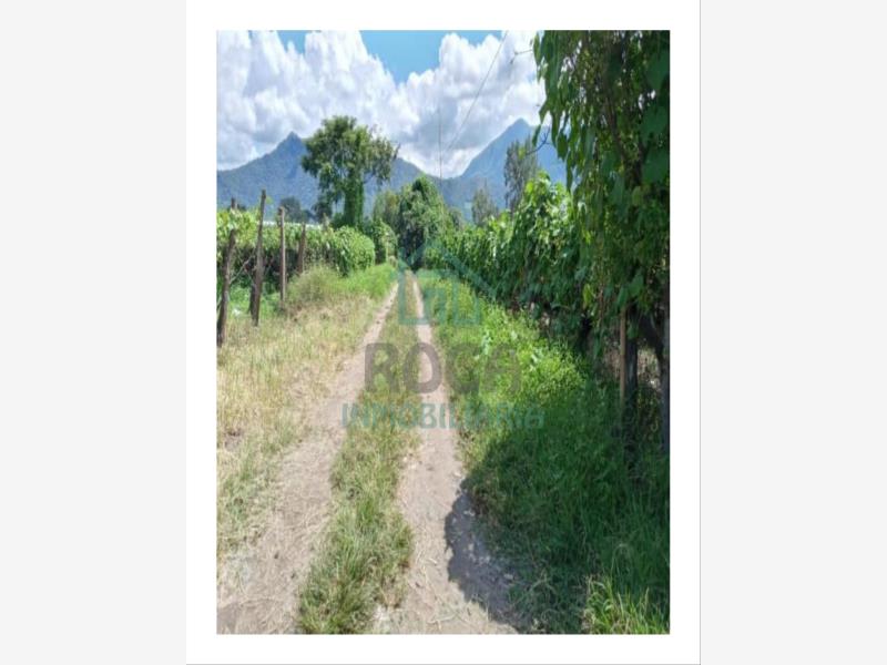 Terreno en venta en Rincon Grande, Orizaba — foto 1 de 9