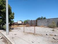 Terreno en renta en Paso del Aguila, Torreón — foto 2 de 8