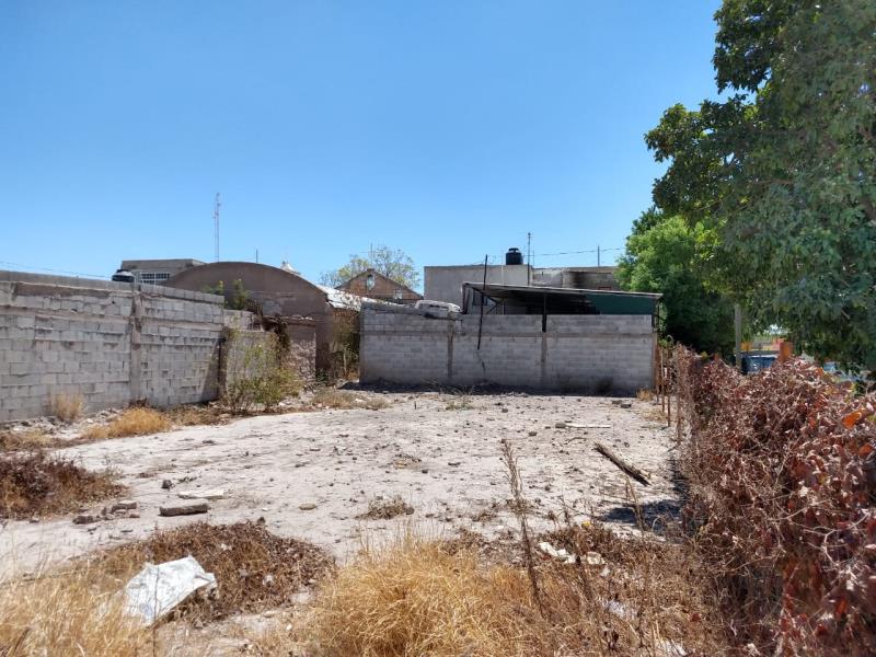 Terreno en Renta en Paso del Aguila, Torreón, Coahuila de Zaragoza
