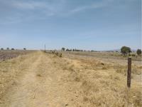 Terreno en venta en San Isidro Chipila, Muñoz de Domingo Arenas — foto 3 de 8