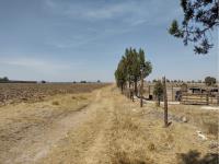 Terreno en venta en San Isidro Chipila, Muñoz de Domingo Arenas — foto 2 de 8