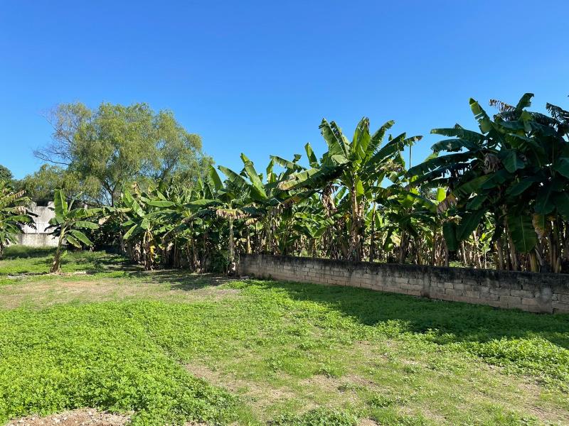 Terreno en venta en Miguel Hidalgo, Centro — foto 1 de 20