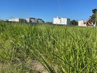 Terreno en venta en Ixtacomitán 1ra. Sección, Centro — foto 3 de 11