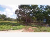 Terreno en venta en Izamal Centro, Izamal — foto 3 de 8