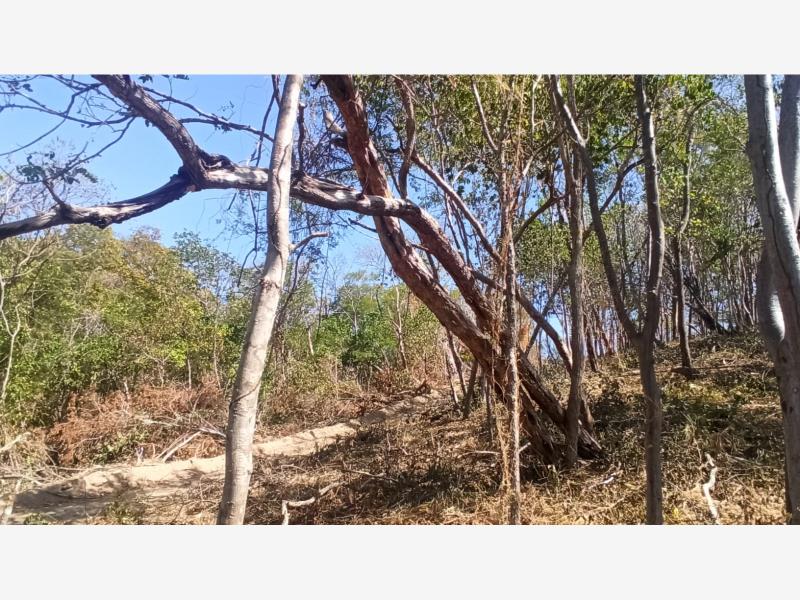 Terreno en venta en Santa Maria Huatulco Centro, Santa María Huatulco — foto 1 de 10