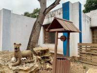 Casa en venta en Vicente Guerrero (Matamoros), Ocozocoautla de Espinosa — foto 3 de 21