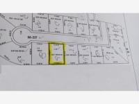 Terreno en venta en Las Trojes, Torreón — foto 3 de 4