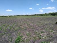 Terreno en venta en DOLORES AJUSCHITLANCITO, Pedro Escobedo — foto 3 de 3