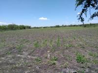 Terreno en venta en DOLORES AJUSCHITLANCITO, Pedro Escobedo — foto 2 de 3
