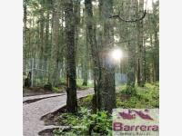 Terreno en venta en Mineral del Monte Centro, Mineral del Monte — foto 3 de 12