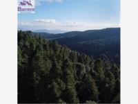 Terreno en venta en Mineral del Monte Centro, Mineral del Monte — foto 3 de 9