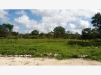 Terreno en venta en Izamal Centro, Izamal — foto 3 de 8