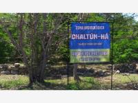 Terreno en venta en Izamal Centro, Izamal — foto 2 de 10
