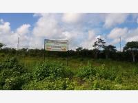 Terreno en venta en Izamal Centro, Izamal — foto 2 de 6