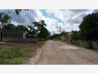 Terreno en venta en Izamal Centro, Izamal — foto 2 de 28