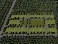 Terreno en venta en Izamal Centro, Izamal — foto 3 de 28