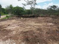 Terreno en venta en Izamal Centro, Izamal — foto 2 de 32