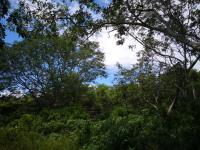 Terreno en venta en Izamal Centro, Izamal — foto 3 de 32